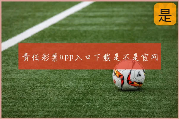 责任彩票app入口下载是不是官网